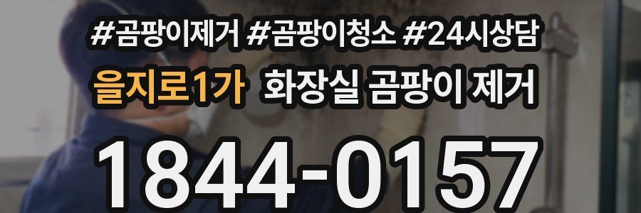 을지로1가 화장실 곰팡이 제거