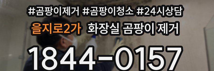을지로2가 화장실 곰팡이 제거