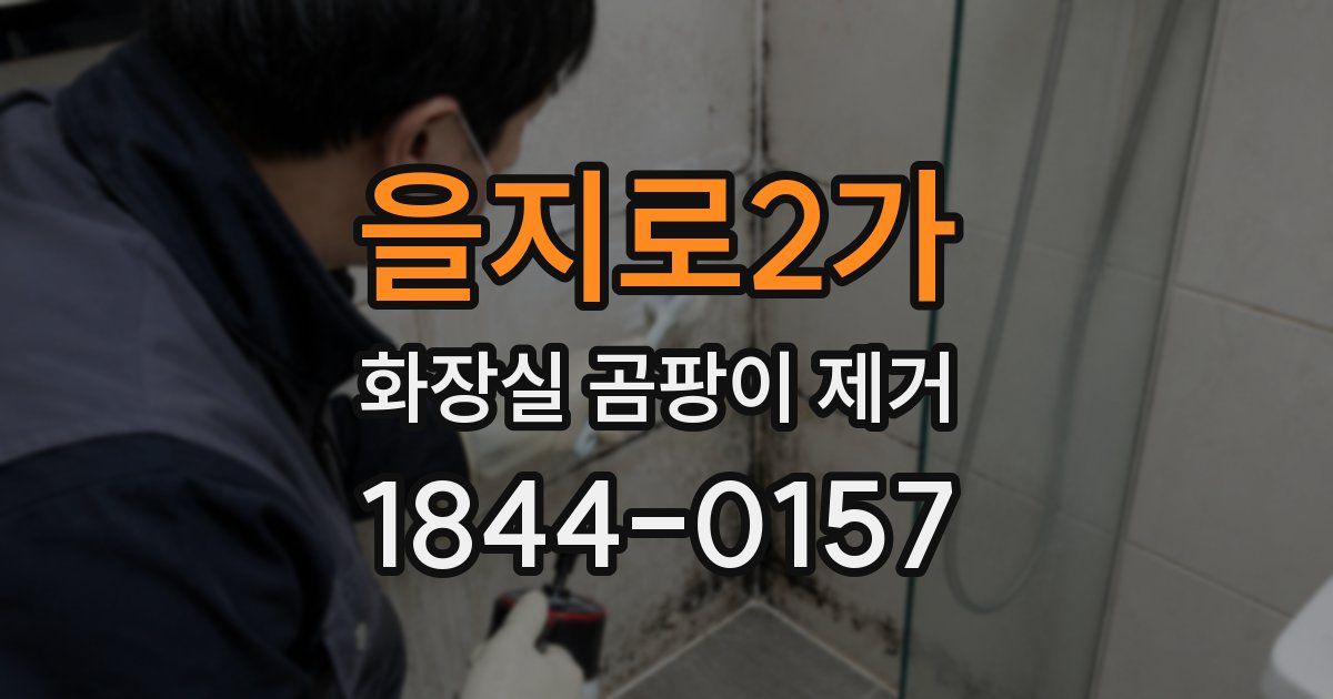 을지로2가 화장실 곰팡이 제거