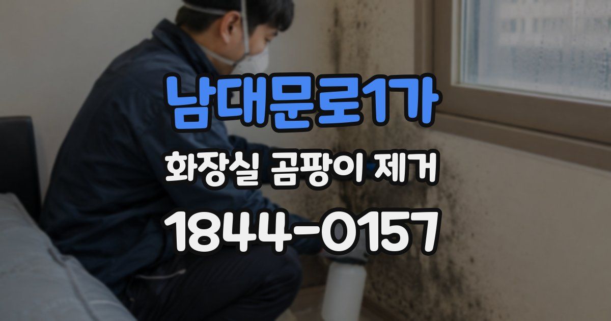 남대문로1가 화장실 곰팡이 제거
