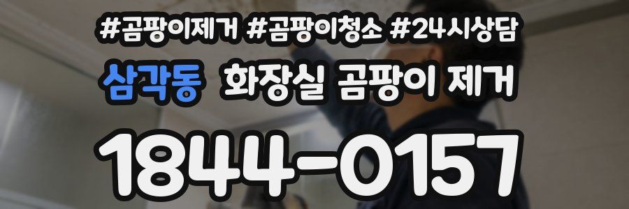 삼각동 화장실 곰팡이 제거