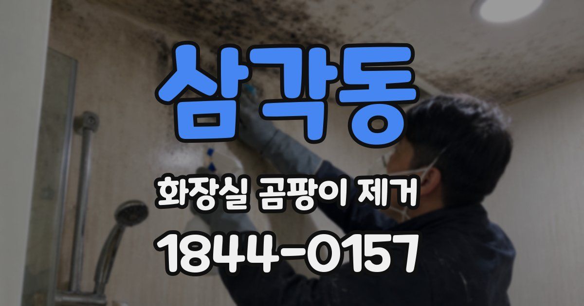 삼각동 화장실 곰팡이 제거