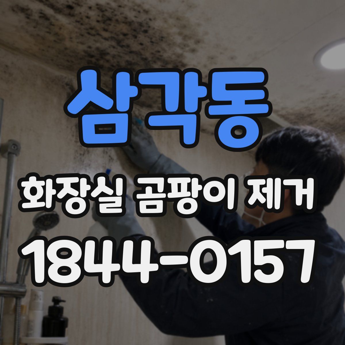 삼각동 화장실 곰팡이 제거