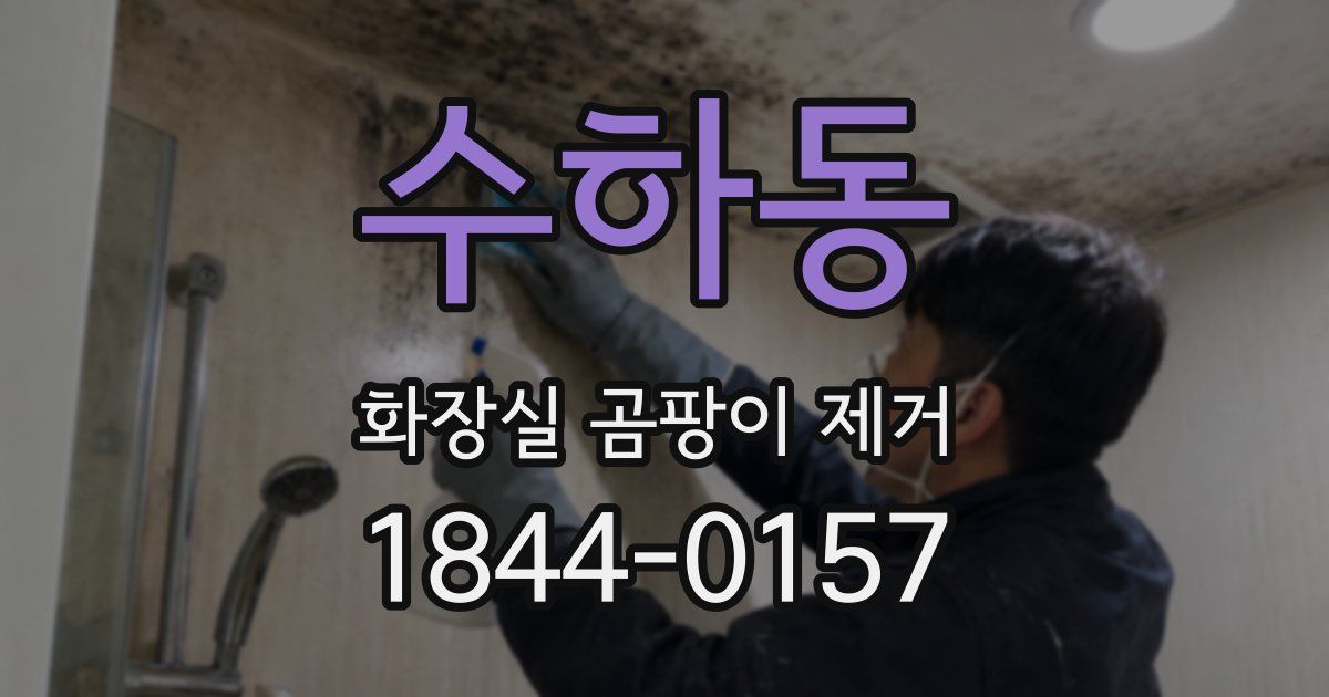수하동 화장실 곰팡이 제거