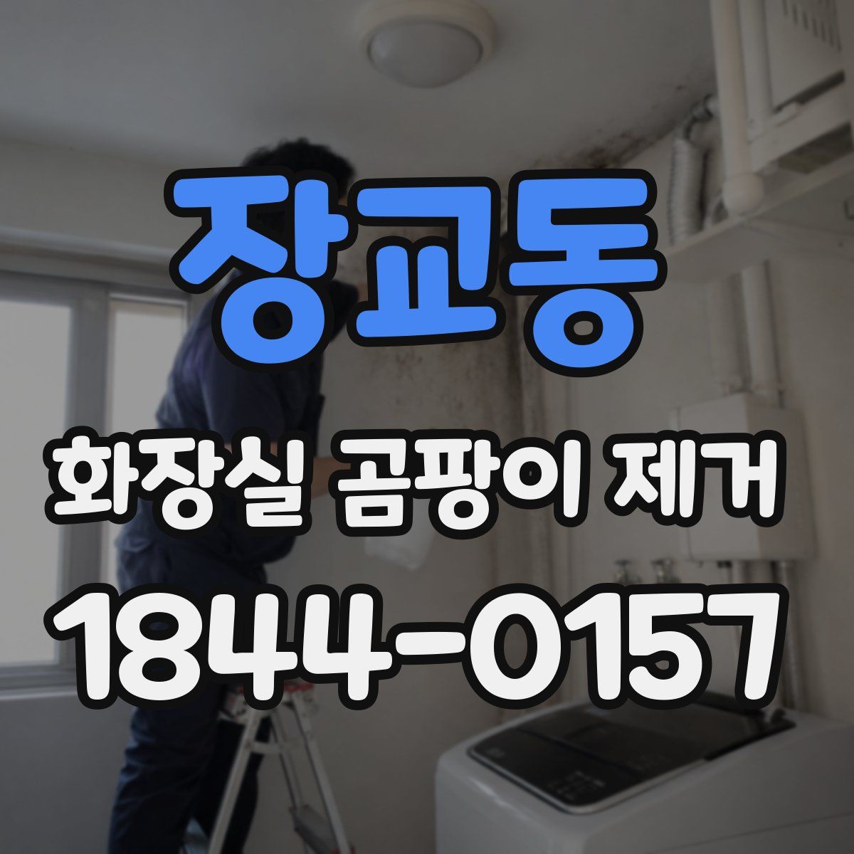 장교동 화장실 곰팡이 제거