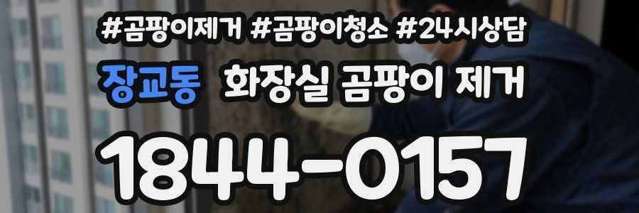 장교동 화장실 곰팡이 제거