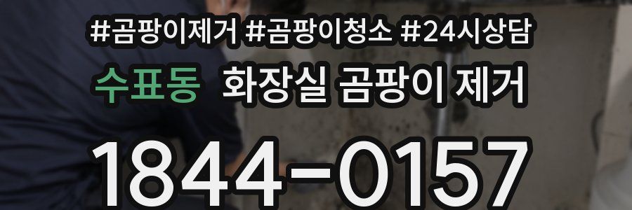 수표동 화장실 곰팡이 제거