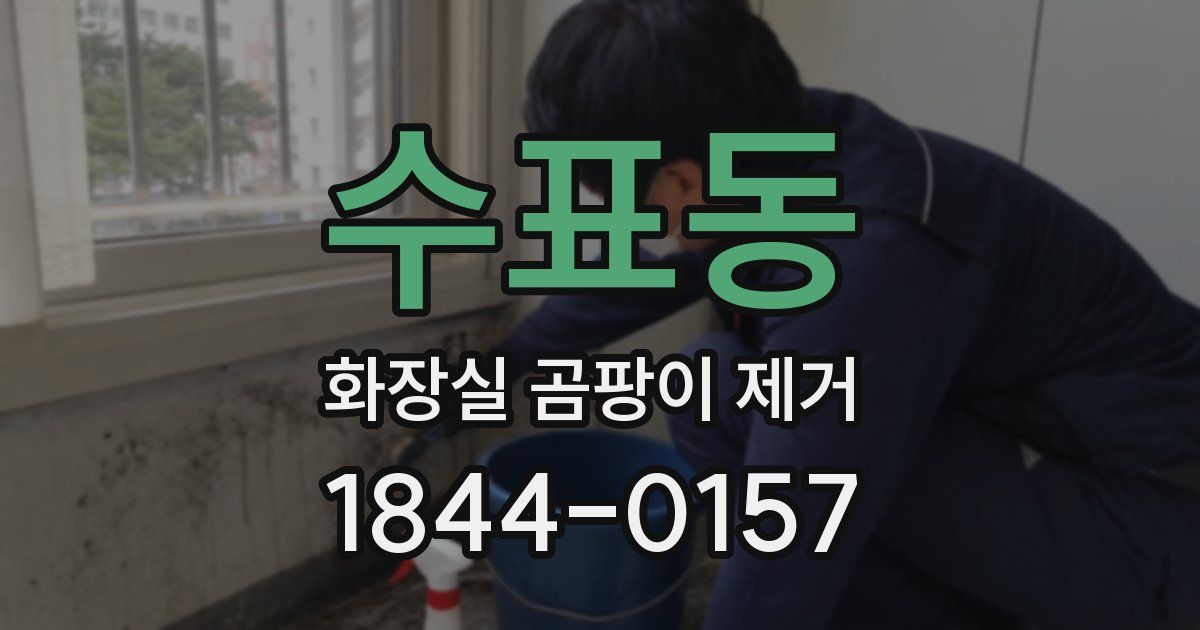 수표동 화장실 곰팡이 제거