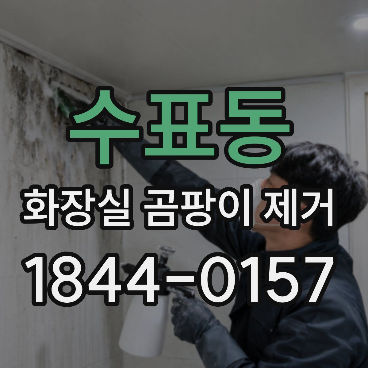 수표동 화장실 곰팡이 제거