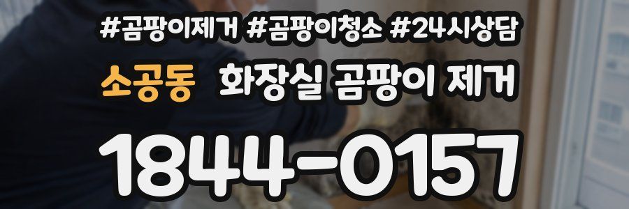 소공동 화장실 곰팡이 제거