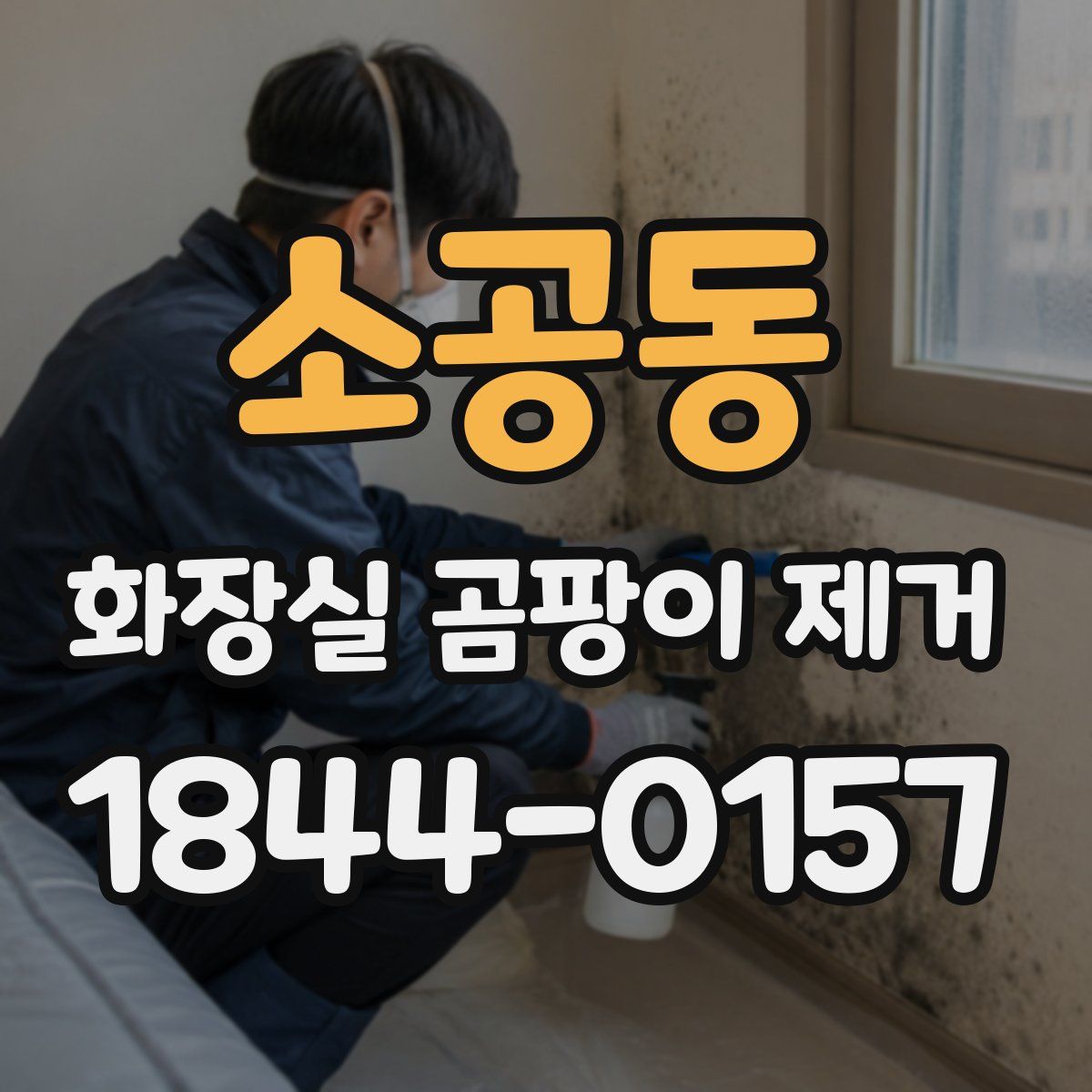 소공동 화장실 곰팡이 제거