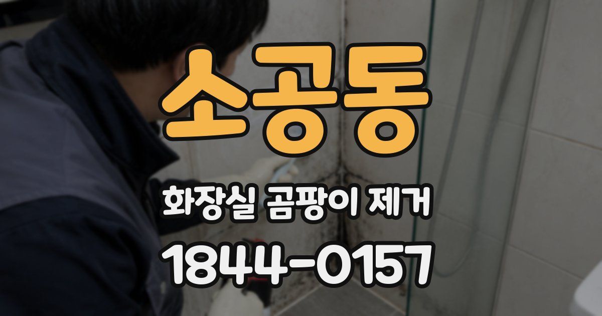 소공동 화장실 곰팡이 제거