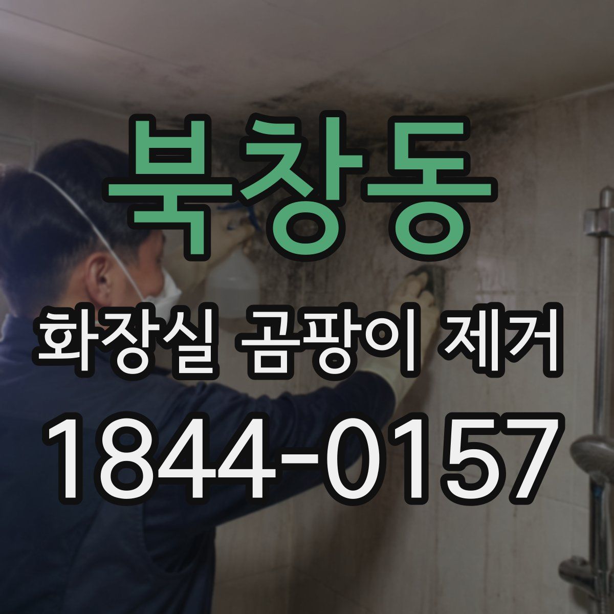 북창동 화장실 곰팡이 제거