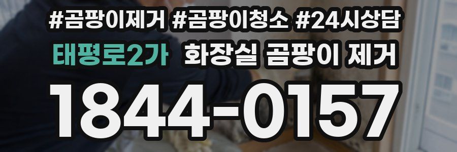 태평로2가 화장실 곰팡이 제거
