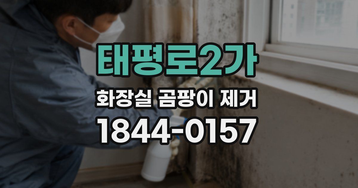 태평로2가 화장실 곰팡이 제거