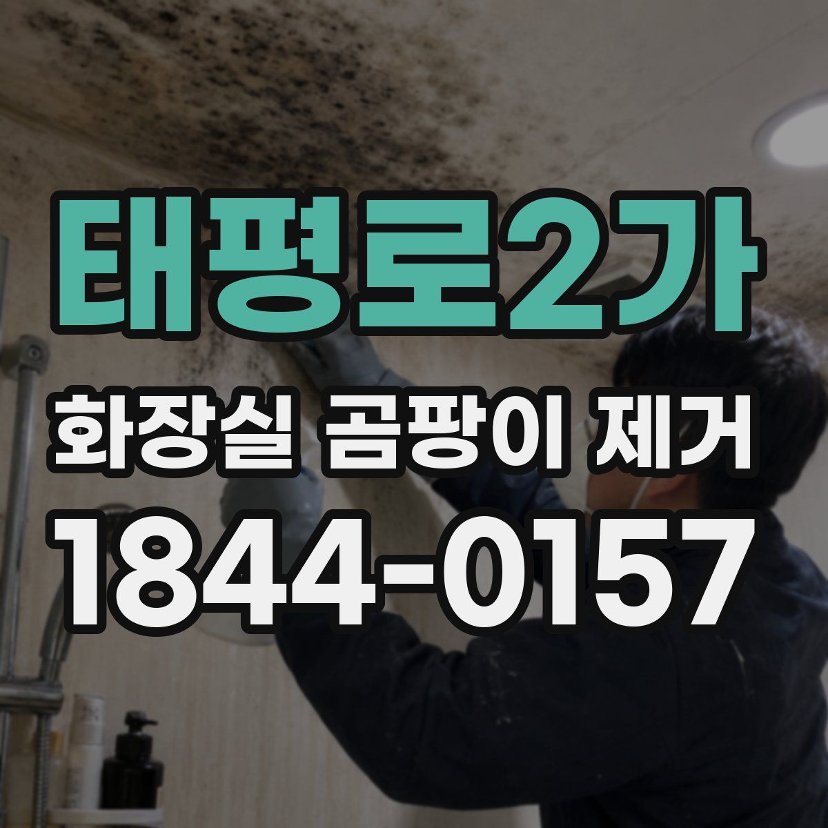 태평로2가 화장실 곰팡이 제거