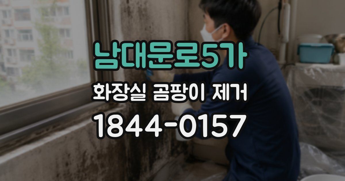 남대문로5가 화장실 곰팡이 제거