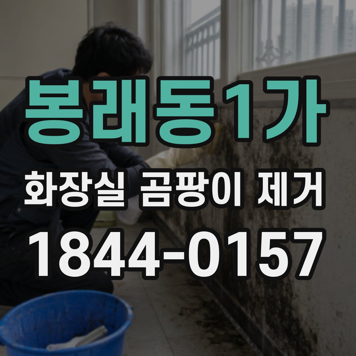 봉래동1가 화장실 곰팡이 제거