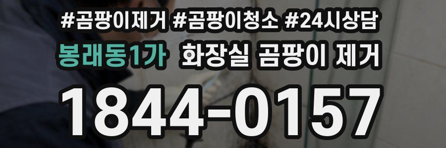 봉래동1가 화장실 곰팡이 제거