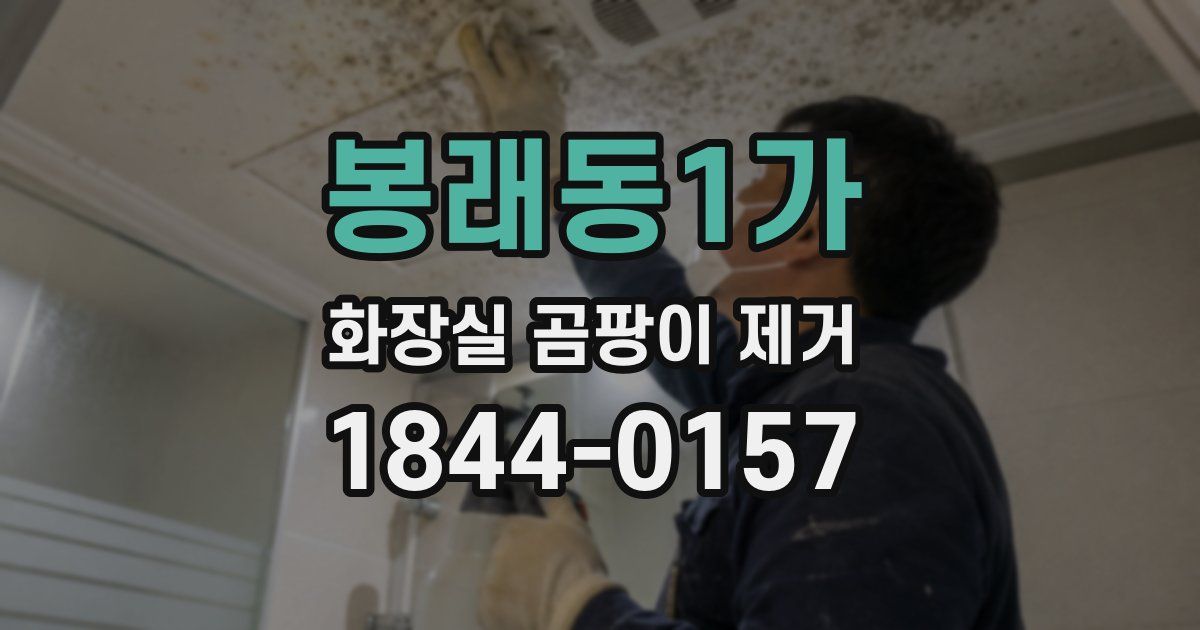 봉래동1가 화장실 곰팡이 제거