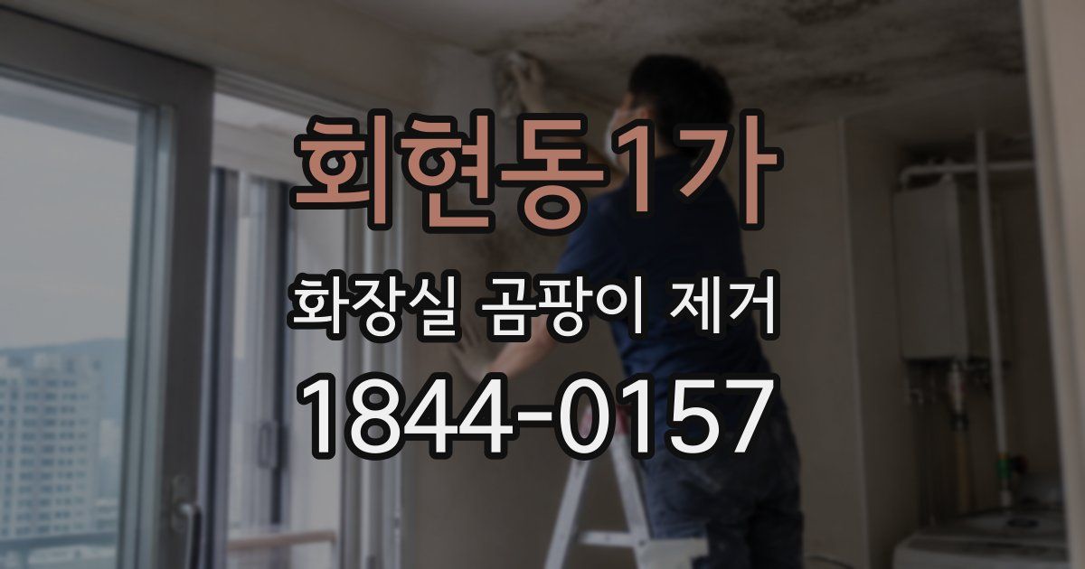 회현동1가 화장실 곰팡이 제거