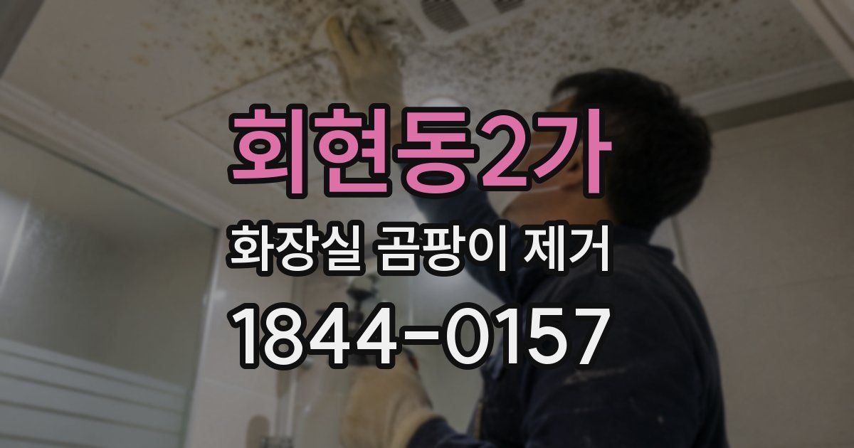 회현동2가 화장실 곰팡이 제거
