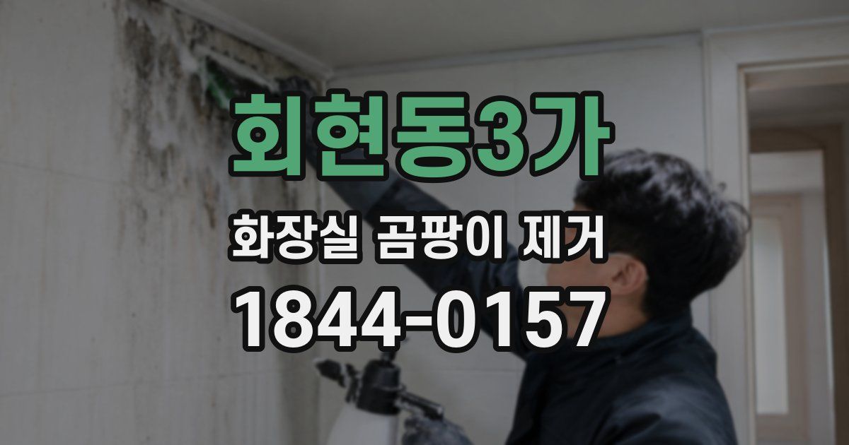 회현동3가 화장실 곰팡이 제거