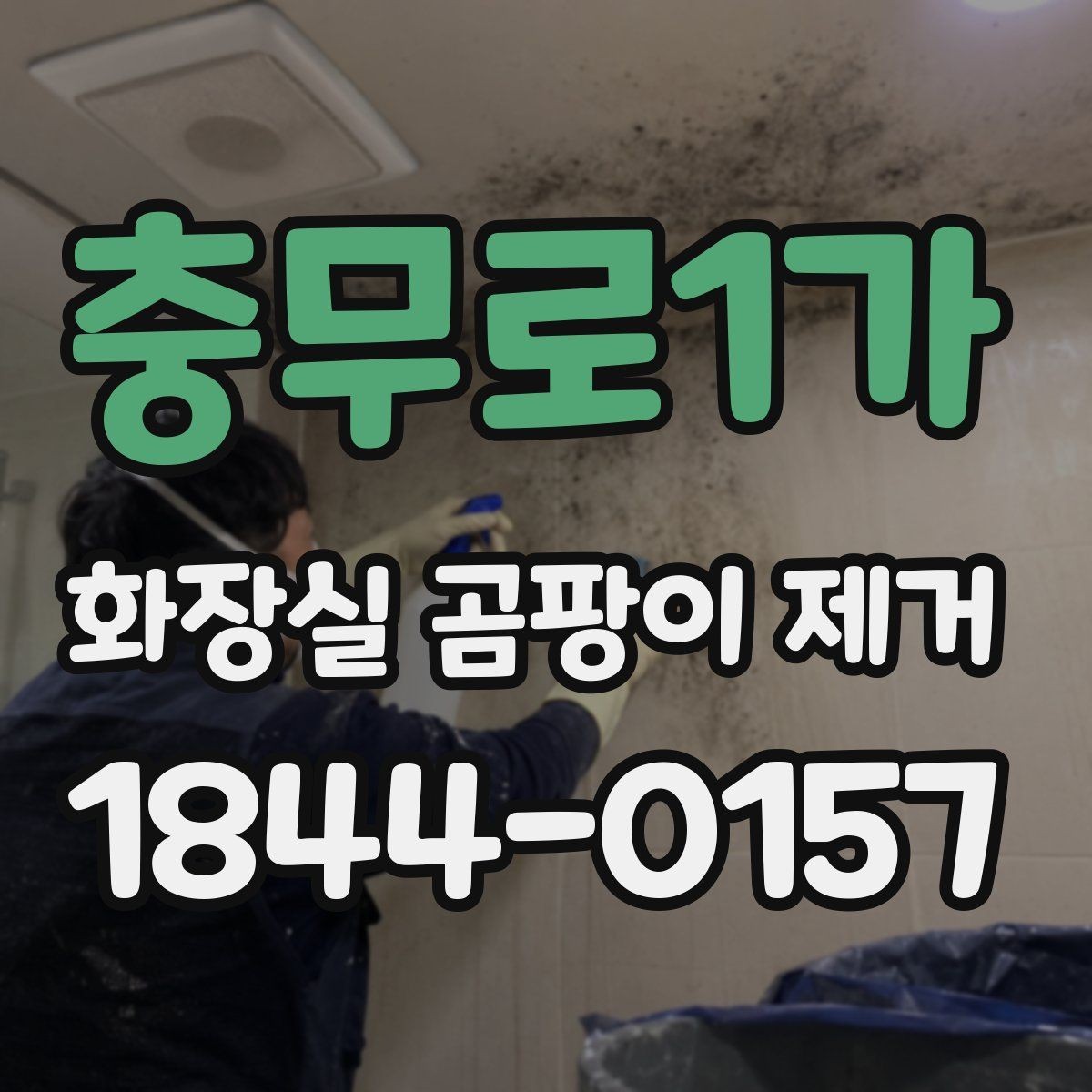 충무로1가 화장실 곰팡이 제거 벽면 오염이 쉽게 번지는 구조와 대응