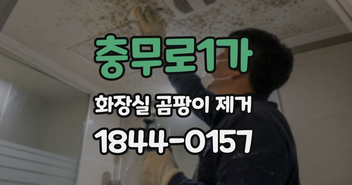 충무로1가 화장실 곰팡이 제거