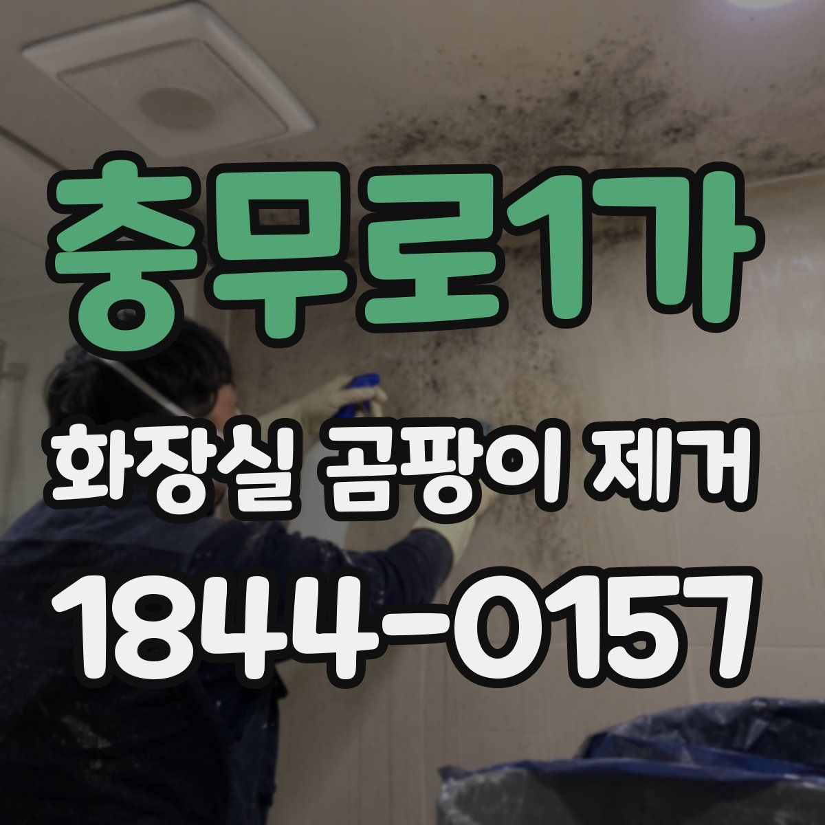 충무로1가 화장실 곰팡이 제거