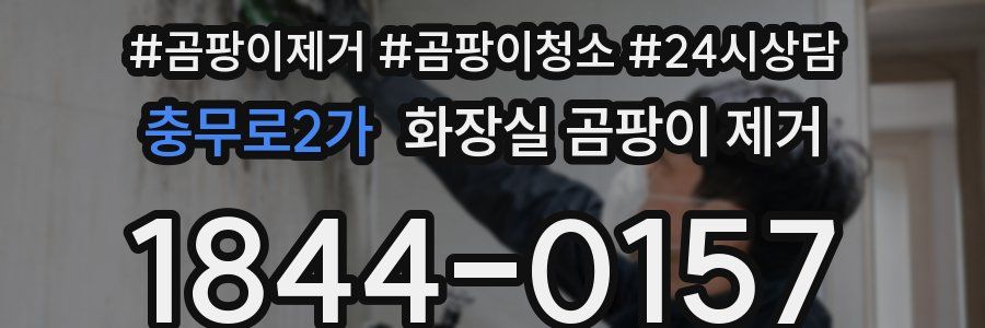 충무로2가 화장실 곰팡이 제거