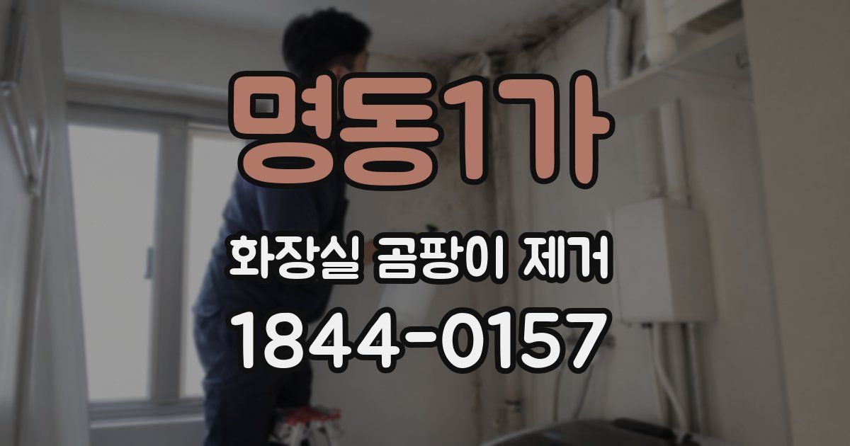 명동1가 화장실 곰팡이 제거