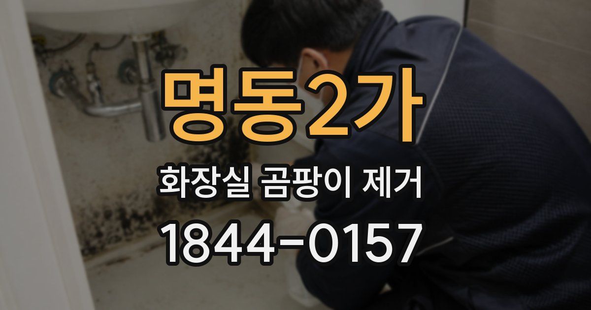 명동2가 화장실 곰팡이 제거