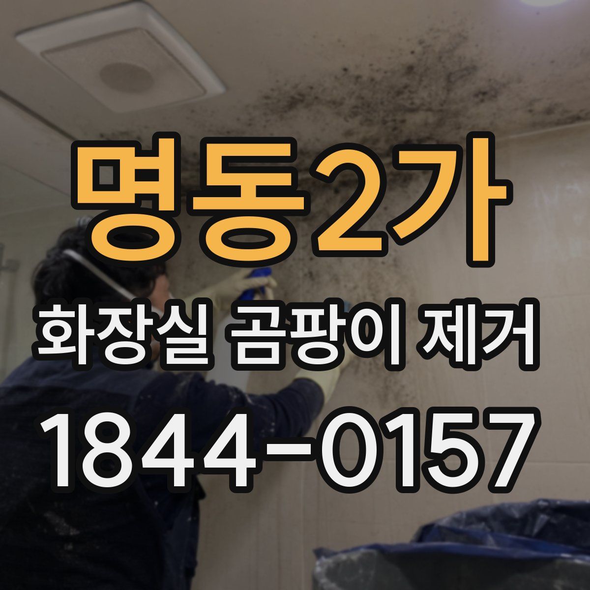 명동2가 화장실 곰팡이 제거