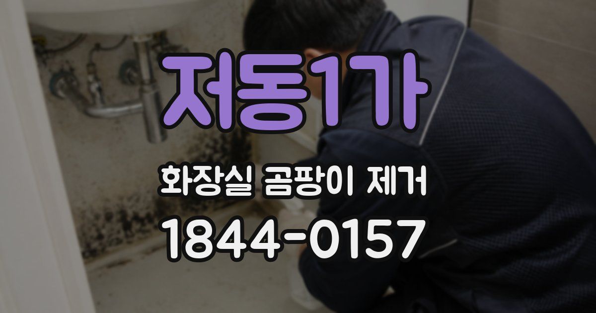 저동1가 화장실 곰팡이 제거