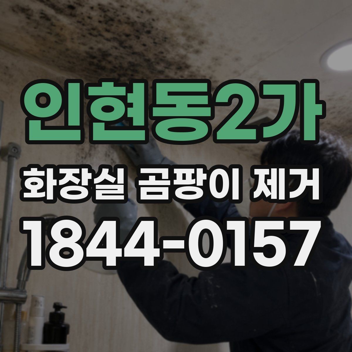 인현동2가 화장실 곰팡이 제거 청소보다 먼저 누수와 습기를 보는 이유