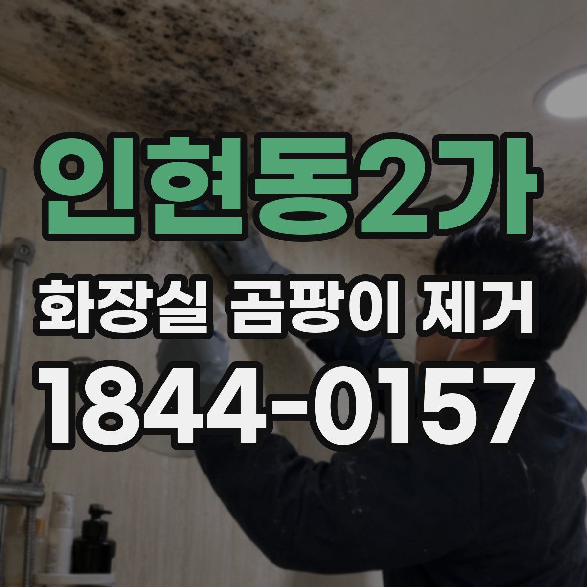 인현동2가 화장실 곰팡이 제거