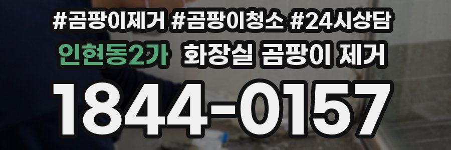 인현동2가 화장실 곰팡이 제거
