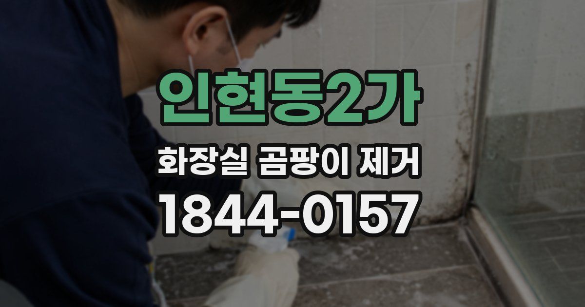 인현동2가 화장실 곰팡이 제거