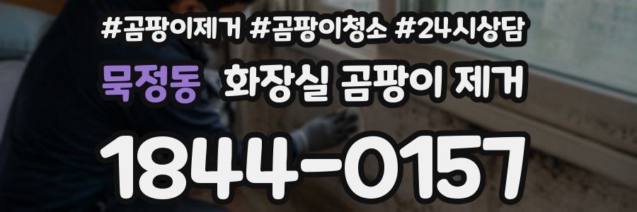묵정동 화장실 곰팡이 제거