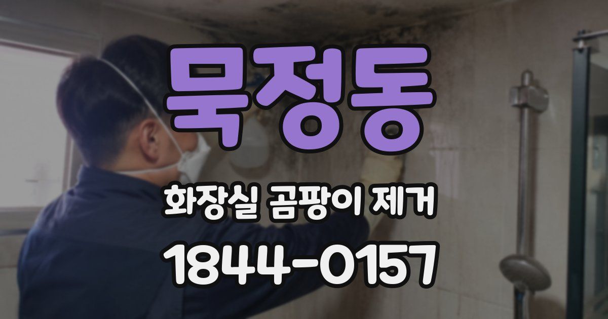묵정동 화장실 곰팡이 제거