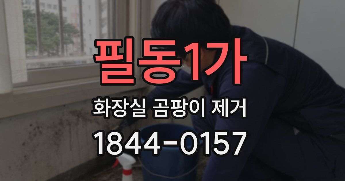 필동1가 화장실 곰팡이 제거