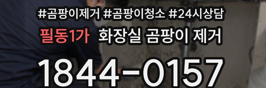 필동1가 화장실 곰팡이 제거