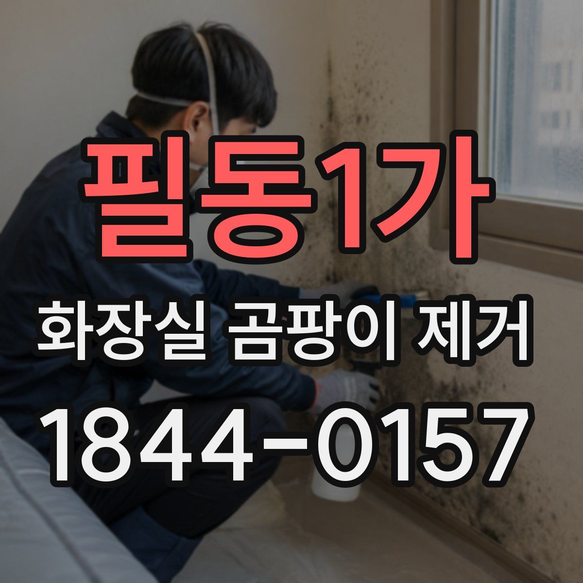 필동1가 화장실 곰팡이 제거