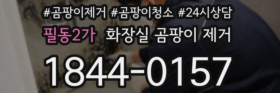 필동2가 화장실 곰팡이 제거