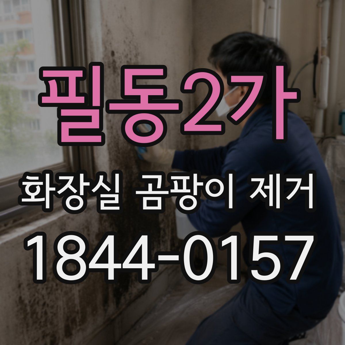 필동2가 화장실 곰팡이 제거