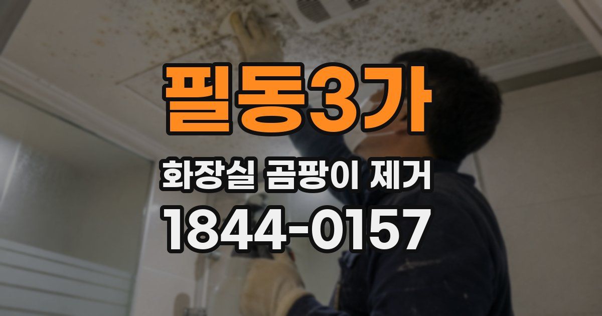 필동3가 화장실 곰팡이 제거