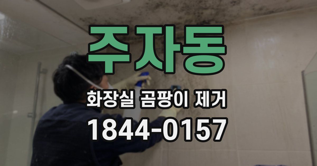 주자동 화장실 곰팡이 제거