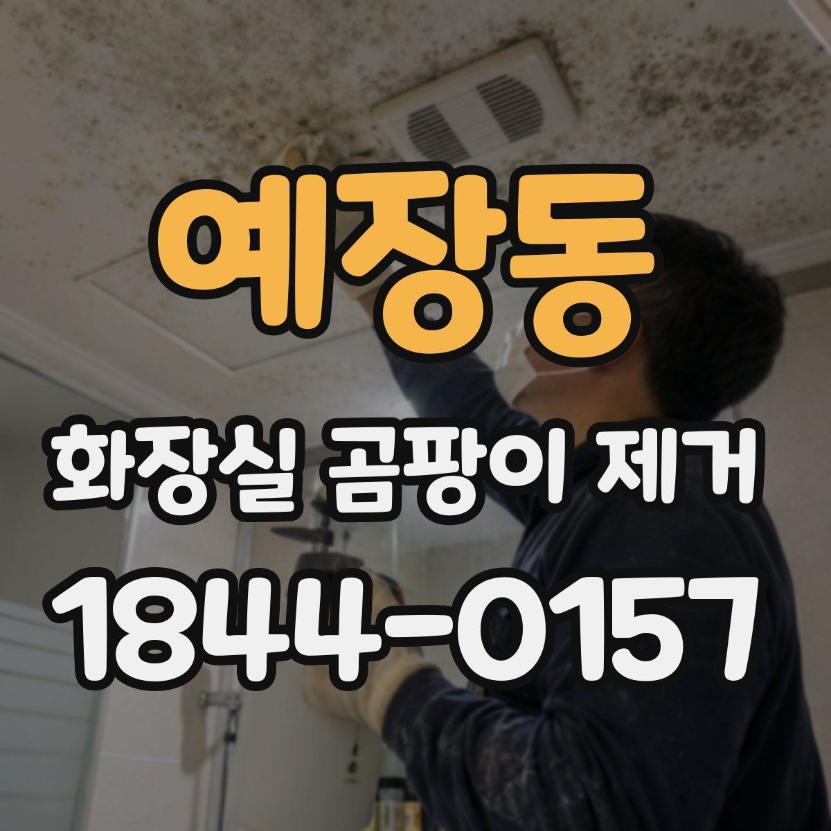 예장동 화장실 곰팡이 제거 냄새까지 함께 정리하는 순서