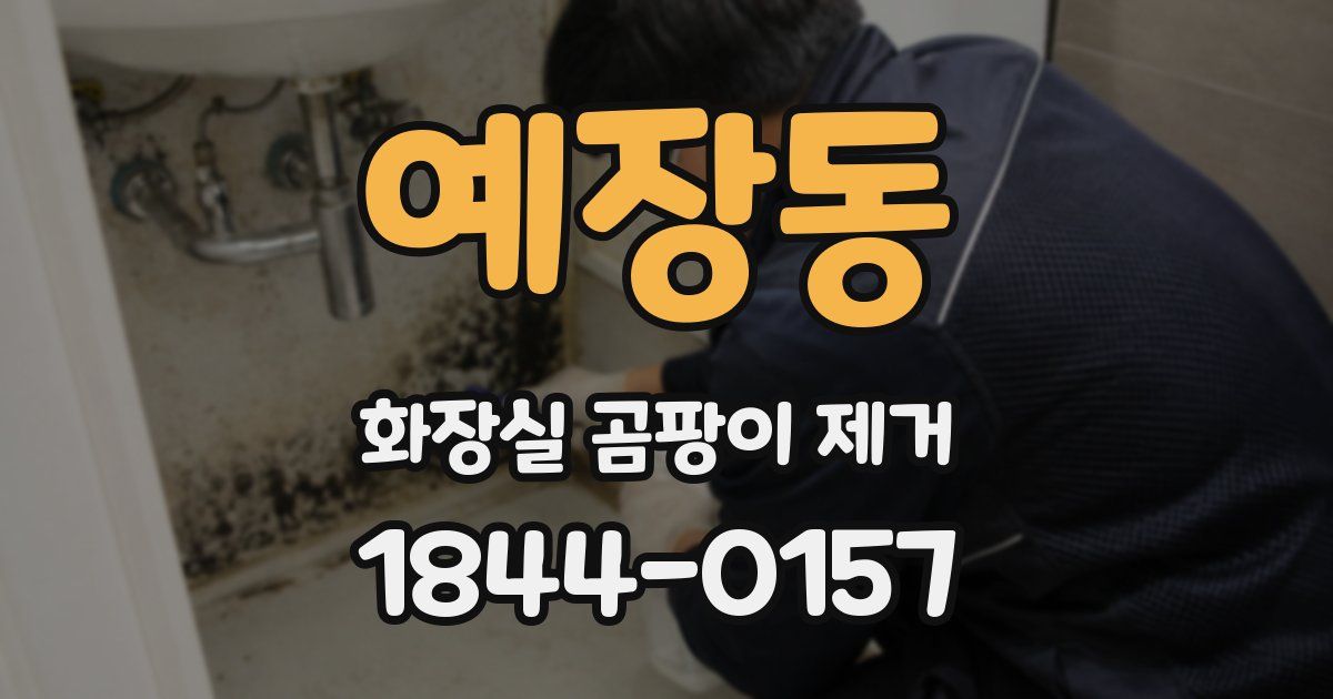 예장동 화장실 곰팡이 제거
